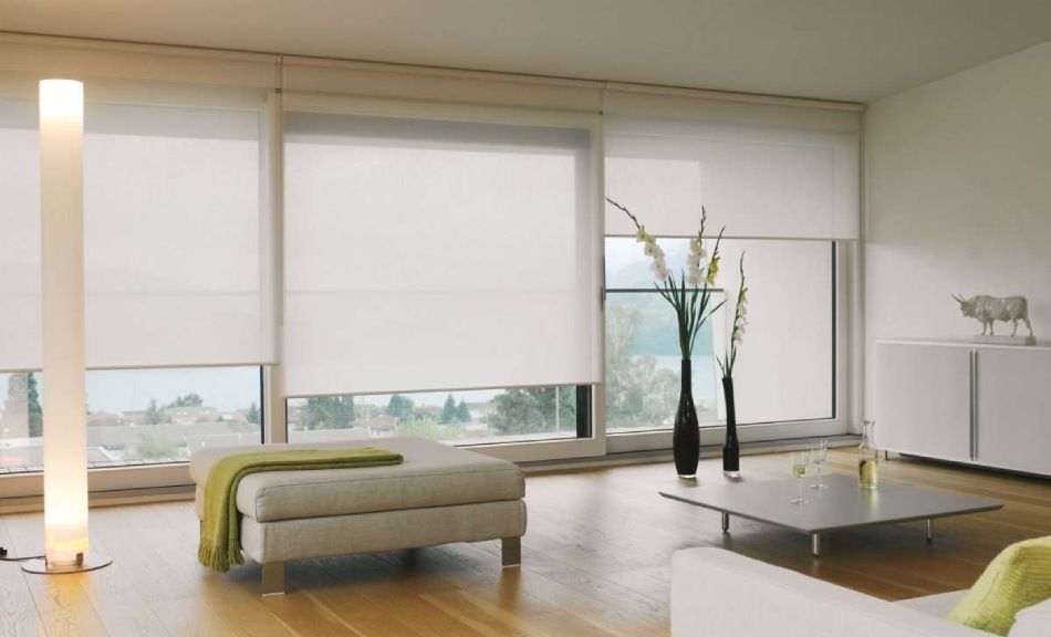 Cortinas Roller Screen Características importantes que debes conocer